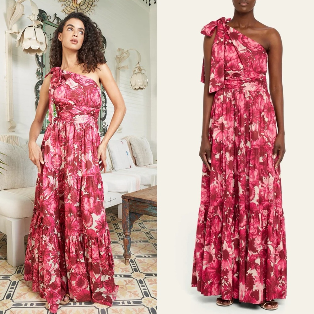 NEW NWT Cara Cara Mattera One Shoulder Maxi Dress In Pink Enchanted Floral Print